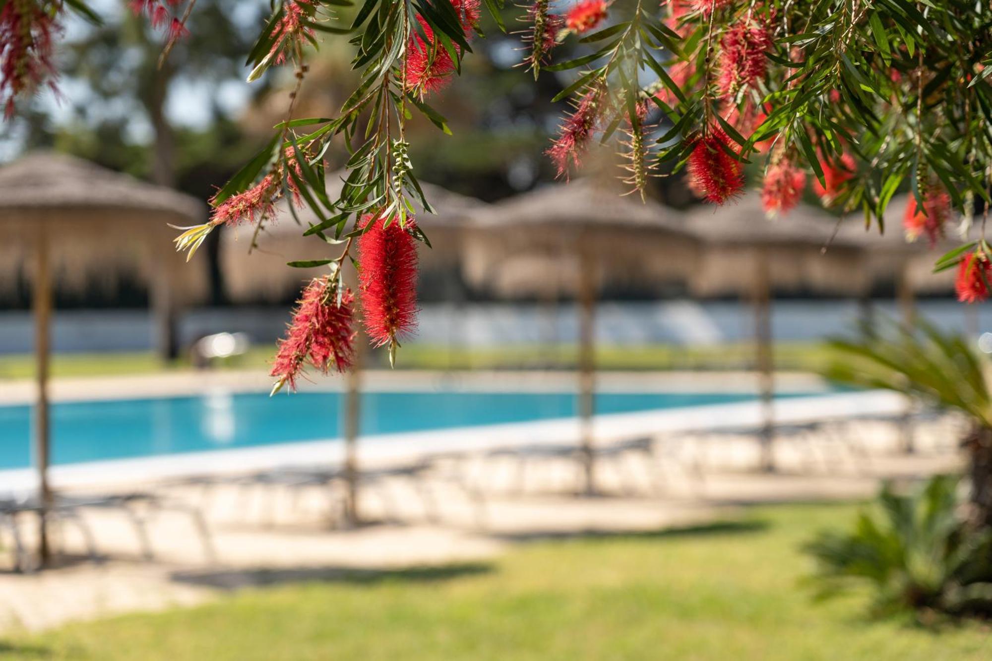 Vila Park Nature & Business Hotel Santo Andre Exterior photo